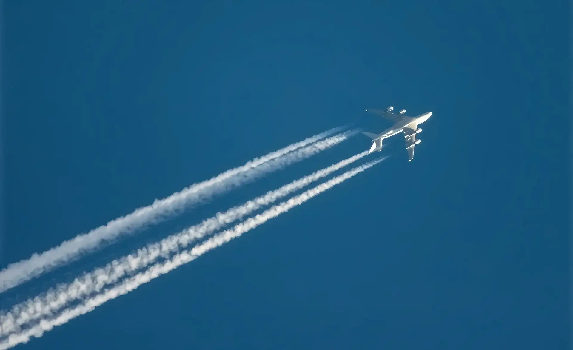 Leuchtendes digitales Schildsymbol auf dunklem Hintergrund mit Punkten und Linien, das IT-Sicherheit darstellt.
